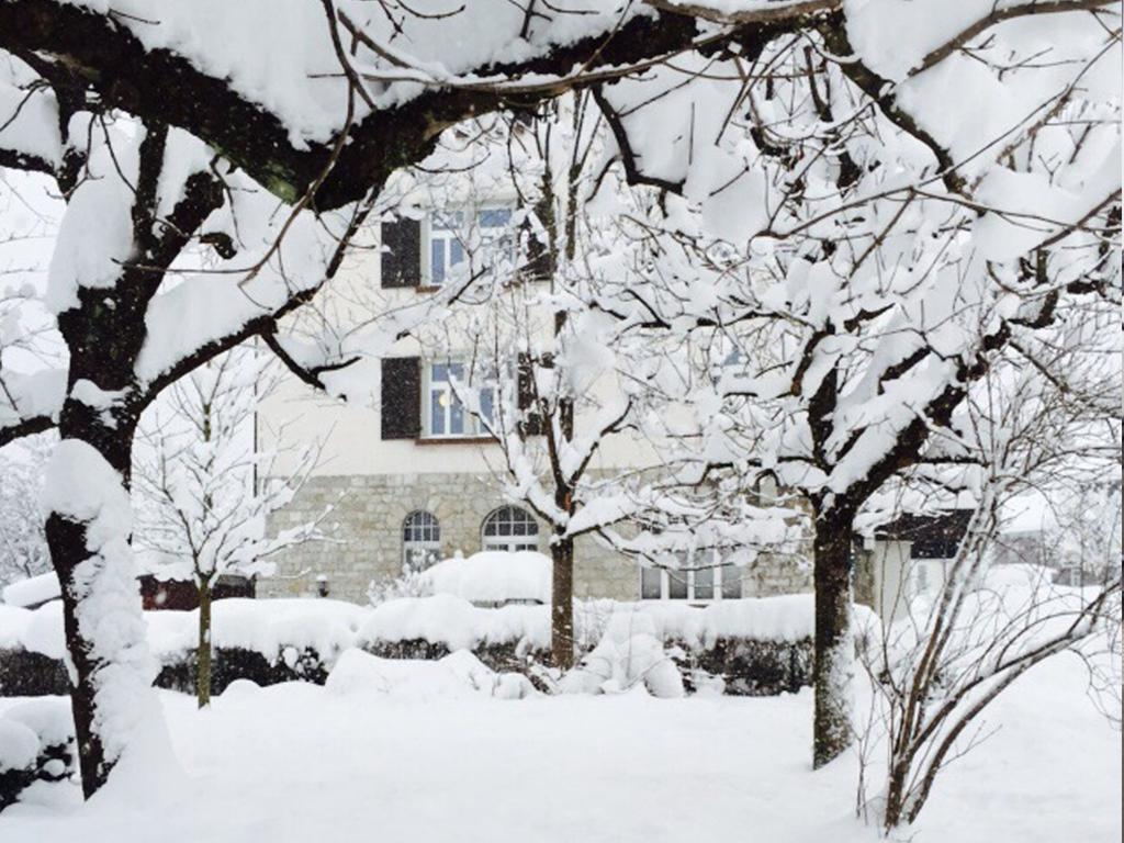 Boutique Apartments ベツァウ エクステリア 写真